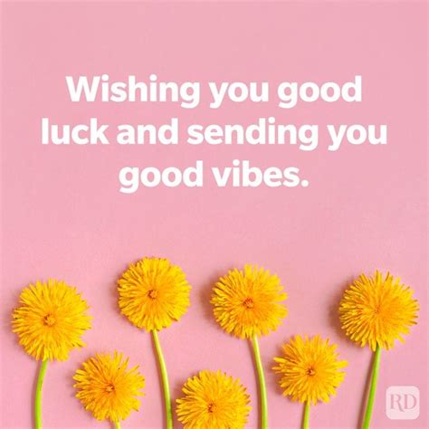 luck in wish.